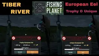 Fishing Planet, Tiber River, Italy, European Eel, Trophy & Unique