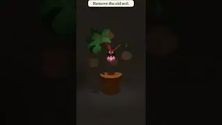 I Moved My Plants (again)