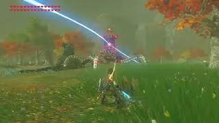 Breath of the Wild  - Guardian Laser Parry 2