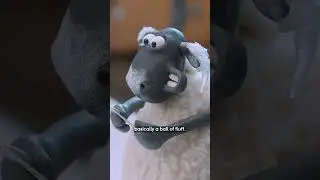 Shaun the Sheep x Barbour 2024 - Live Action! #shaunthesheep #behindthescene #barbourchristmas