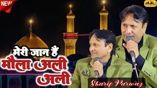 मेरी जान है मौला अली अली || Sharif Parwaz || New Qawwali 2025 || Saiyara Urs 2025