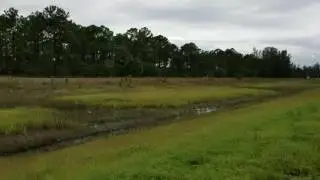 P939 Deadhead Train to Miami