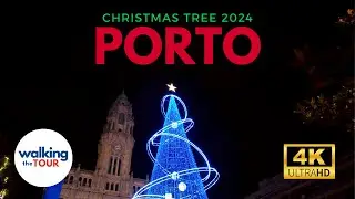 Рождественские огни Порту 2024