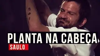Saulo - Planta na cabe&ccedil;a - em 4K - YouTube Carnaval 2015