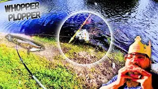 Summer Topwater Bass Fishing ! (Whopper Plopper 2025)