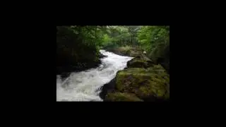 [Wikipedia] Lower Salmon Falls