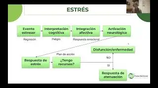 Phelan Hour: Estrategias de afrontamiento ante regresiones