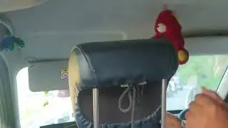 Sinduli