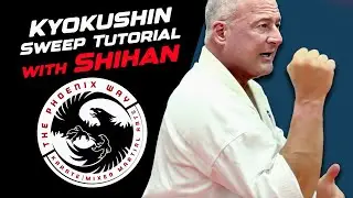 Учебное пособие по каратэ Киокушинкай: захват за отворот и подсечка &laquo;Путь Феникса&raquo;