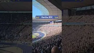 🙌🔊 Super Stimmung im  Olympiastadion Berlin: Hertha BSC - FC Magdeburg 1:1 #herthabsc #hahohe