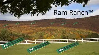 RAM RANCH INSTRUMENTAL - Flying Through the Sky - Anubys