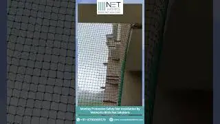 Best Monkey Protection Net Services for Balconies in Gurgaon | Networks Birds Net Solution