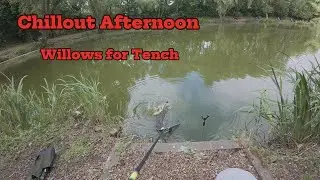 Chillout at Willows Tench fishing, May 2025