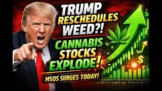 🚨 BREAKING: Cannabis Stocks Surge After Trump Comments