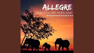 Allegre Percussioni Africane