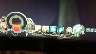 Martyr bug
