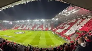 Wondeful Mainz 🇩🇪 choreo against Fiorentina in Conference League
