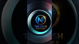 THE NASH PICTURES