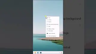 How to Show Desktop icons on Windows 11 ( Quick Step )