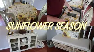SUNFLOWER SEASON - VLOGUST 2025