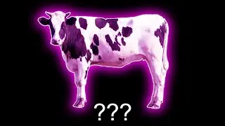 ❗Cow 
