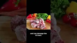 Cookout Caution: Foods to Avoid Feeding Your Dog for Their Safety