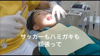 サッカーもハミガキも頑張って｜予防歯科　原歯科医院【調布市・八雲台・布田駅】
