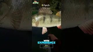 How to Know When a Fish Bites Your Lure!