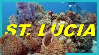 Underwater in St. Lucia
