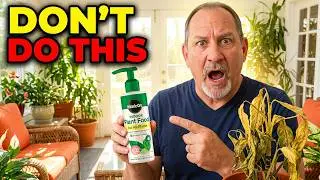 Don't Use Outdoor Fertilizer on Indoor Plants (Here's Why)
