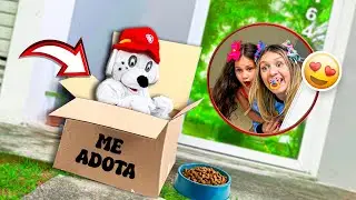ABANDONARAM UM CACHORRO NA PORTA DA NOSSA CASA!!