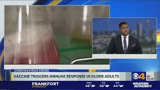 Vaccine triggers immune response in older adults