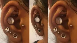 8mm Conch Punch - 6mm Conch Punch Stretched To 8mm - Conch Dermal Punch Mod | Piercing Experience