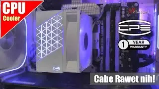 CPU Cooler Kere Hore, Harganya cuma 100 Ribuan! ARGB, PWM, dan performa OK | PCCooler R400 ARGB WH