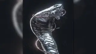 [FREE] 1000+ 