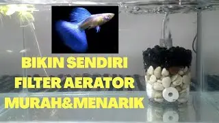 Cara/tutorial membuat FILTER AERATOR sendiri dengan mudah,murah & menarik! | DIY Aquarium Filter