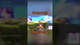 Хорошо дал ?                     #rust #rustclips #стрим #rustshorts #stream #раст