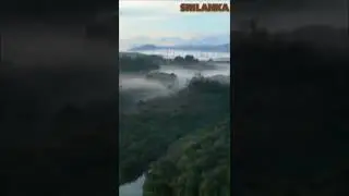 Sri lanka neutral beauty of sri lanka 🐦🌱short #netural #srilanka #nice viwe .