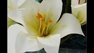 free formed sugar Lily- made without cutters or veiners- Live video for Cake Show Istambul