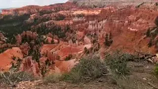 Following a Chipmunk over the edge of Bryce Canyon !!  😀🐯