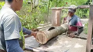 Gelondongan Kayu waru Bakalan Reng 