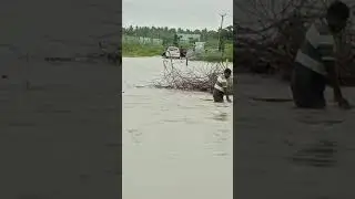 Peravurani river over full