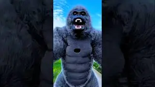 Saving My Sister from a Lion🦁&hellip; in a Gorilla Suit🦍😱! #shorts #shortsfeed