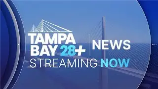 LIVE | Tampa Bay 28+ News - Thursday,  Nov. 6