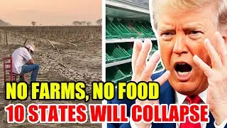 U.S. BIGGEST Farm Collapse, Top 10 States Facing Food Crisis, Empty Shelves - Documentary