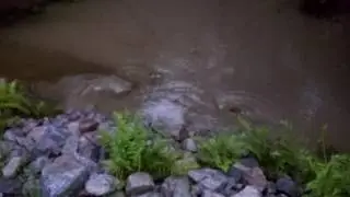 Driveway drain creek vortices after 3.5