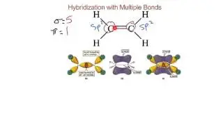 Hybridization in Multiple Bonds