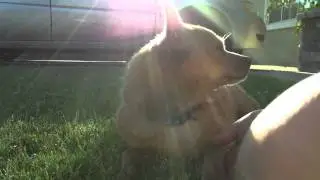 Samsung HMX-E10 Test