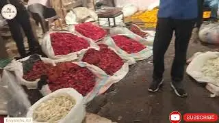 || Chhatarpur flower mandi vlog || #flowers #vlog