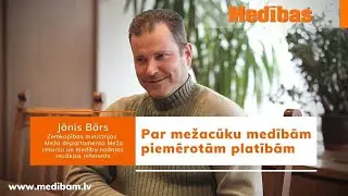 Medību likums. Par mežacūku medībām piemērotām platībām